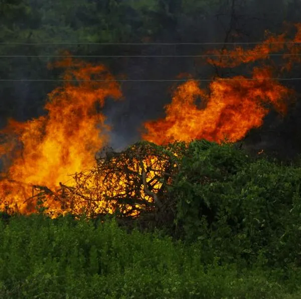 Controlar incendios forestales con fuego: esta es la propuesta de la Ungrd
