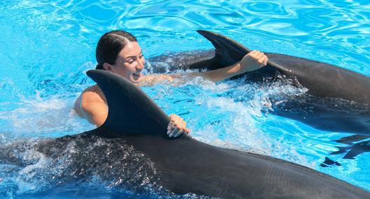 ¿Dónde nadar con delfines en Colombia?