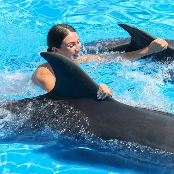 ¿Dónde nadar con delfines en Colombia?