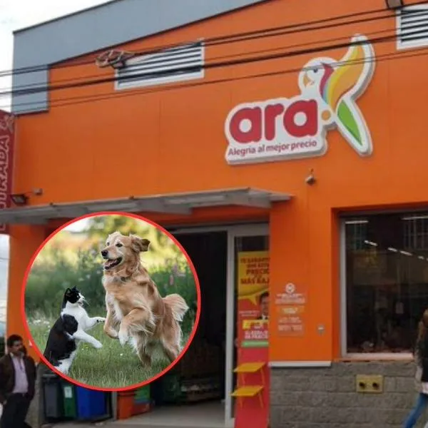 Productos Ara para perros y gatos: bebedero de gravedad por solo 