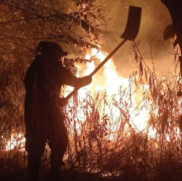Soldados del Ejército Nacional atienden incendio Forestal en base militar de Tolemaida