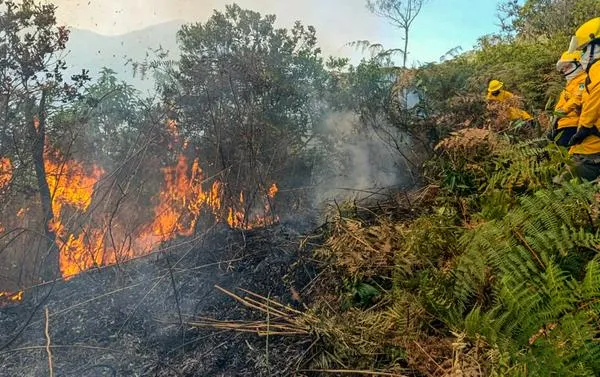 Alerta: Incendio en Pradera, Valle completa 36 horas: bomberos atienden la emergencia