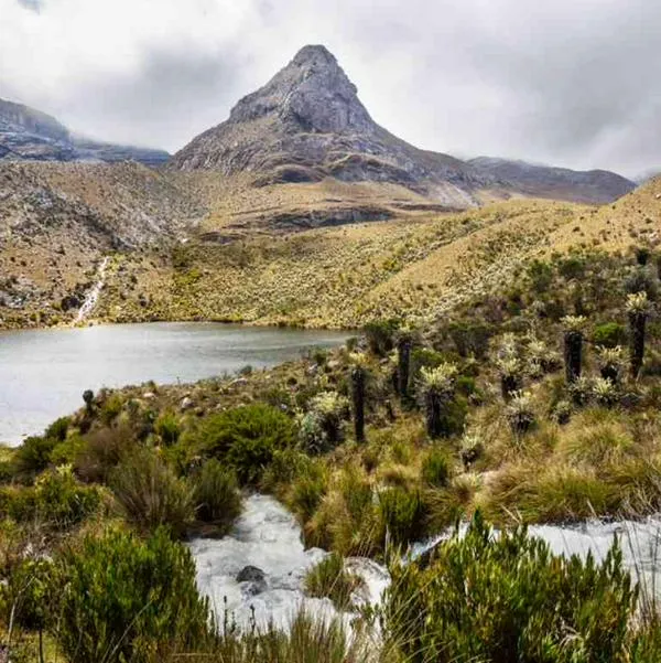 Foto de Sierra Nevada del Cocuy, en nota de cómo llegar a este lugar, donde está montaña más linda de Colombia