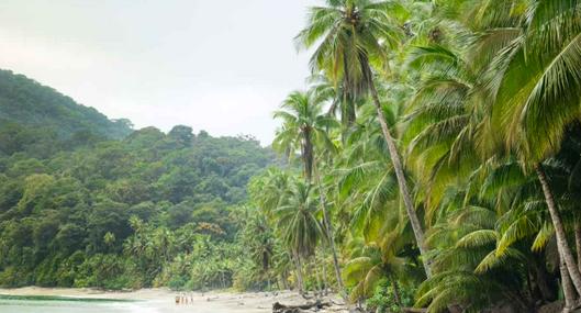 Foto de Gorgona, en nota de cuál es la isla más bonita de Colombia y misterio frente a San Andrés