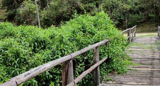 ¡Pilas! Desde el 21 de septiembre se cierran los Caminos de los Cerros en Bogotá 