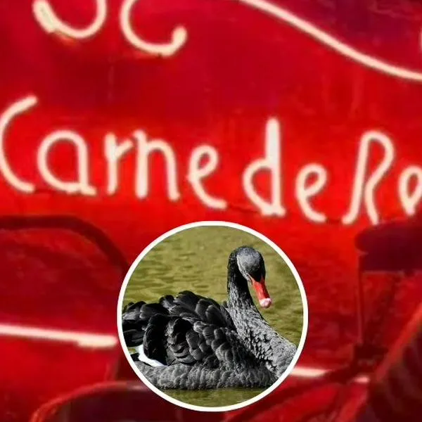 Foto de Andrés Carne de Res y de ave, en nota de qué es cisne negro, caso real de Andrés Carne de Res por artista quemada en Chía