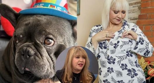 ¿Qué pasará con los perros de la 'Gorda' Fabiola? Patricia Silva, preocupada por quién los tendrá