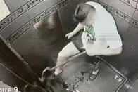 Video: perro fue víctima de maltrato animal en ascensor, al parecer, por su dueño