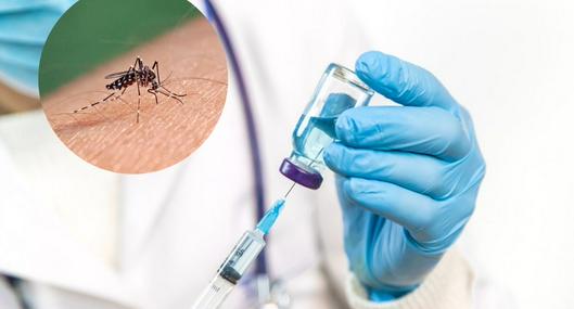 Vacuna para el dengue disponible en Colombia