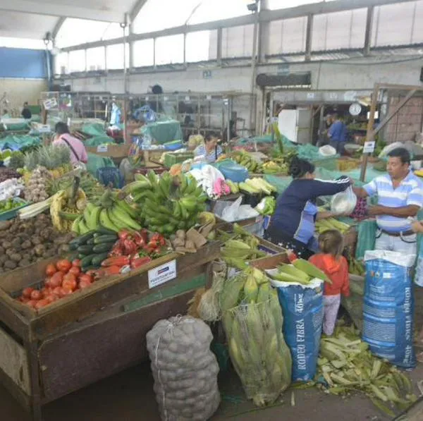 ¡Atención! Bajaron los precios de productos de la canasta familiar 