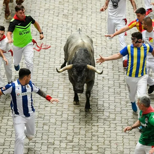Imagen de referencia de lo que es un encierro de toros. En una de esas celebraciones en España, uno de esos animales mató a un abuelo que estaba de espectador