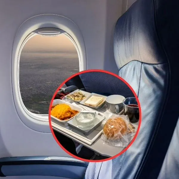 Vuelo de Scandinavian Airlines aterrizó porque a mujer le salió ratón en comida