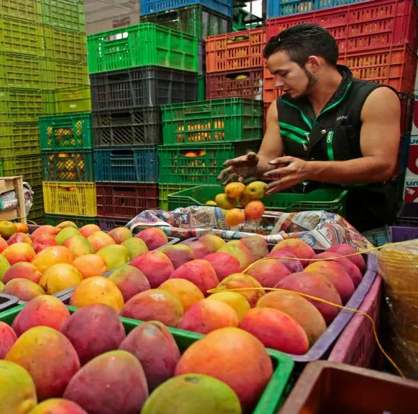 En agosto bajaron precios de hortalizas, tubérculos, huevos y quesos artesanales