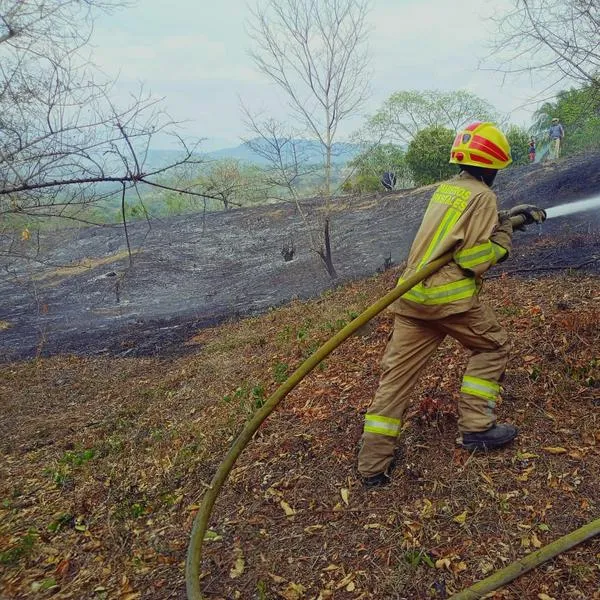 Más de 25 mil hectáreas han sido consumidas por incendios en el Huila