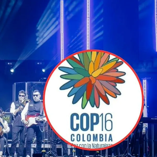 Mincultura reveló nombres de organizaciones que participaran en la COP16
