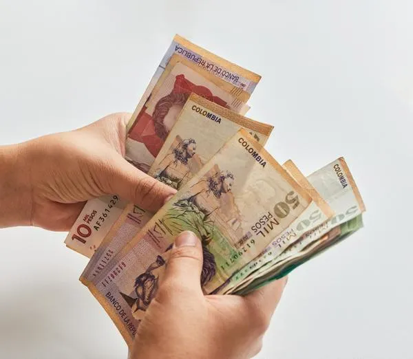 Renta ciudadana 2024: explican qué pasa si no se reclama subsidio de $ 500.000