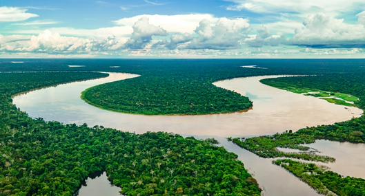 Minambiente abre consulta ciudadana sobre plan para proteger la biodiversidad