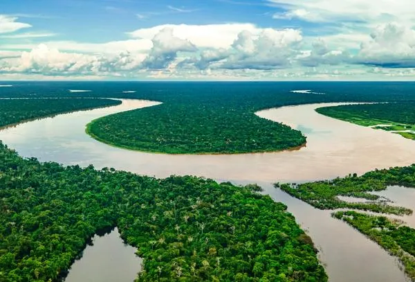 Minambiente abre consulta ciudadana sobre plan para proteger la biodiversidad