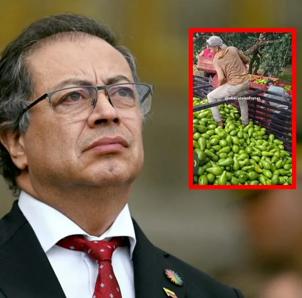 Gustavo Petro, a propósito de lo que dijo sobre la supuesta producción de aguacates en Colombia, pero que era en Brasil: video