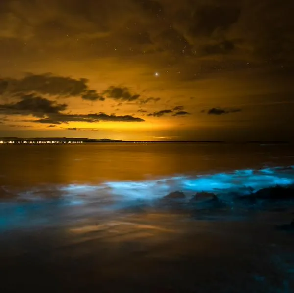 ¿Cuáles son las playas que alumbran de noche? 