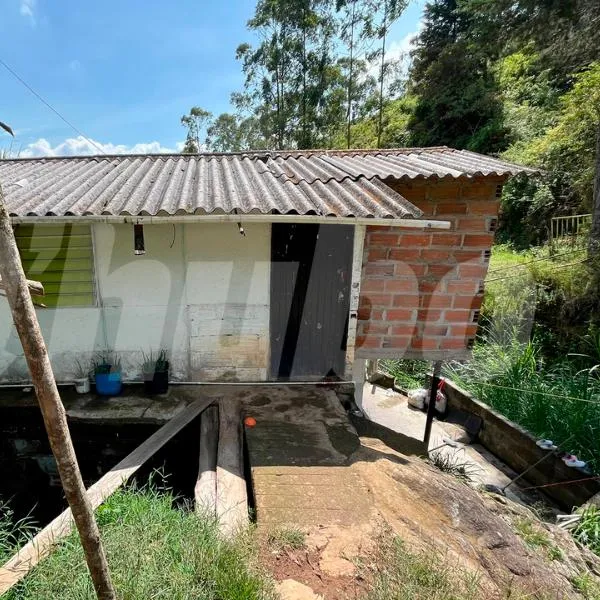 Menor de edad fue asesinado a tiros afuera de su casa en Altavista