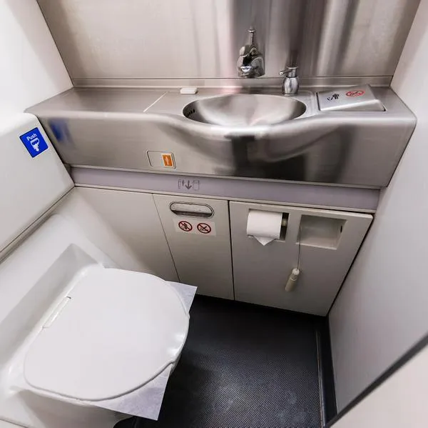 Dónde arrojar el papel higiénico en el avión; botón que no sabía que existía