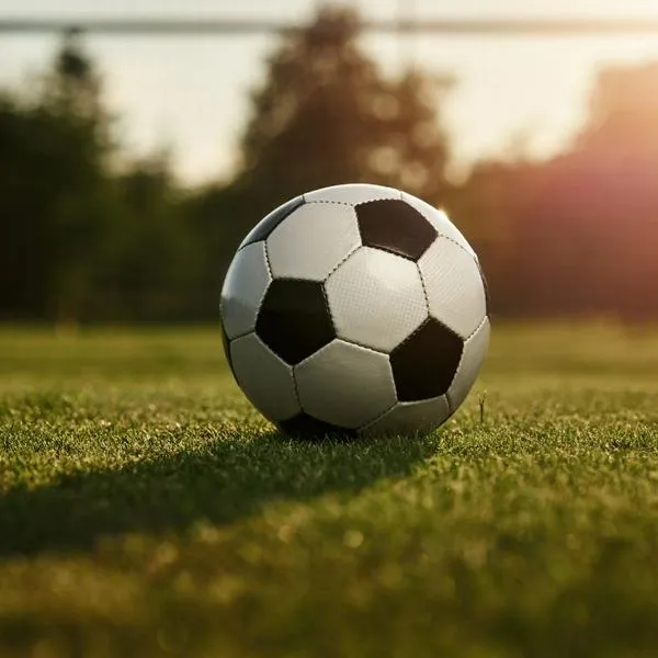 Por incumplir cuota alimentaria le prohibieron a un padre ingresar a las canchas de fútbol de su ciudad 