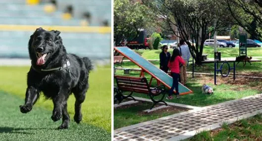 Conoce los parques con espacios para mascotas en Bogotá, mi Ciudad 