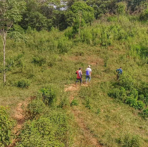 entrega de tierras en cordoba y perdon de mancuso