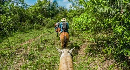 ¿Dónde se puede hacer safari en Colombia? 