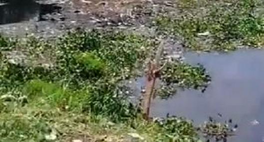 Encuentran cadáver en laguna del oriente de Cali