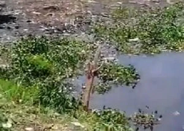 Encuentran cadáver en laguna del oriente de Cali