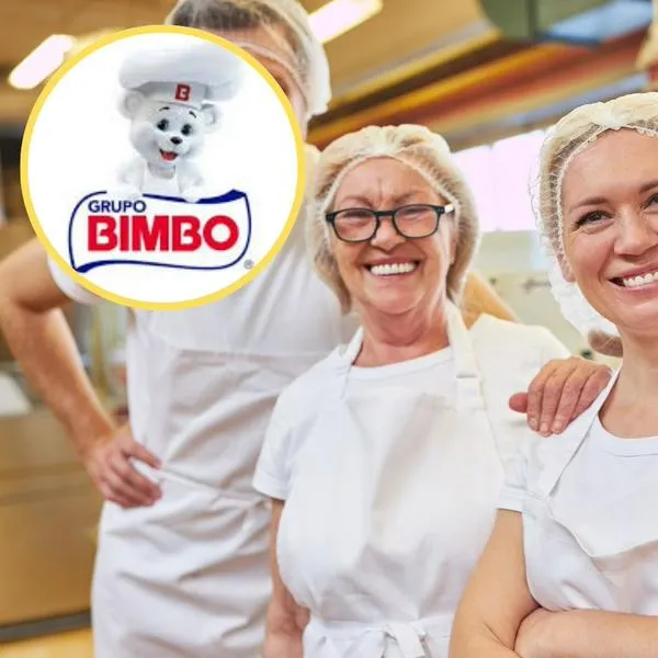 ¿Cómo trabajar con Bimbo? Las vacantes son en toda Colombia con contrato indefinido 