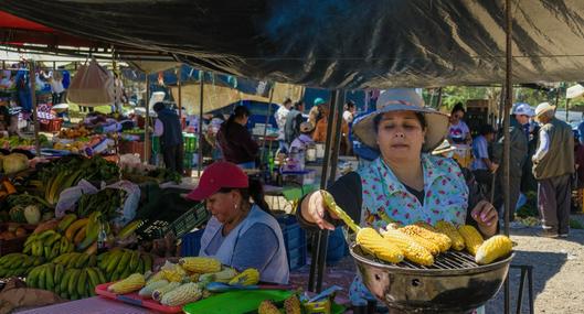 Festival Internacional de la cultura campesina: cuándo inicia y dónde será