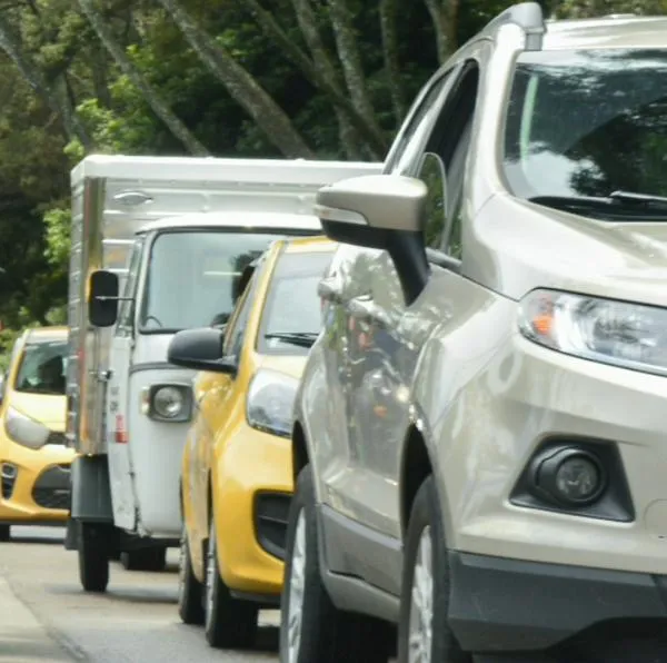 Conductores con multas en Bogotá recibirán amnistía: desde cuándo y cómo aplicar