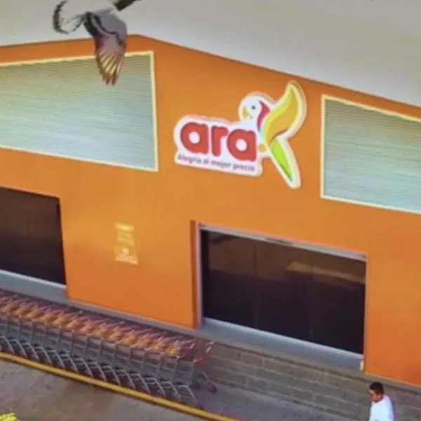 Tren navideño económico del Ara. 