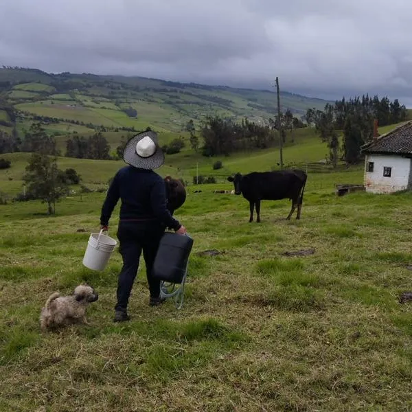 Fedegán revela inversión millonaria para enfrentar crisis de leche en Colombia
