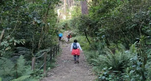 ¿Cómo subir a los Cerros Orientales? Pasos para ir a los senderos del Acueducto