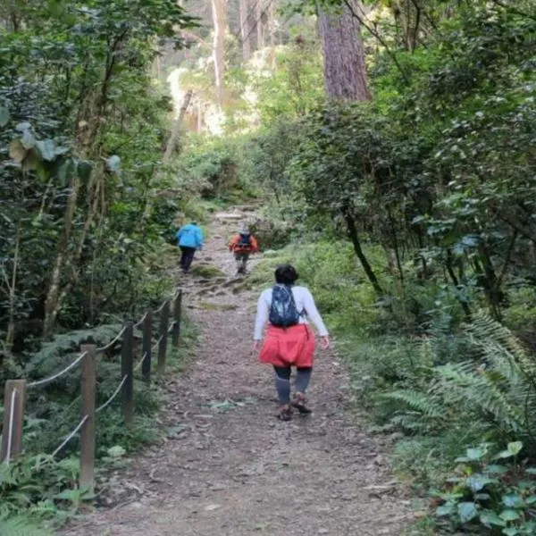 ¿Cómo subir a los Cerros Orientales? Pasos para ir a los senderos del Acueducto