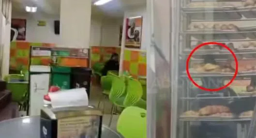 Cliente de una panadería grabó a una rata 'acomodando panes' en la vitrina: a la vista de todos 