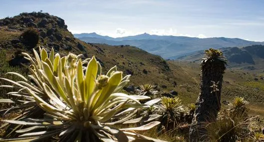 Crisis climática y planeamiento energético en Colombia, por ministro de Minas