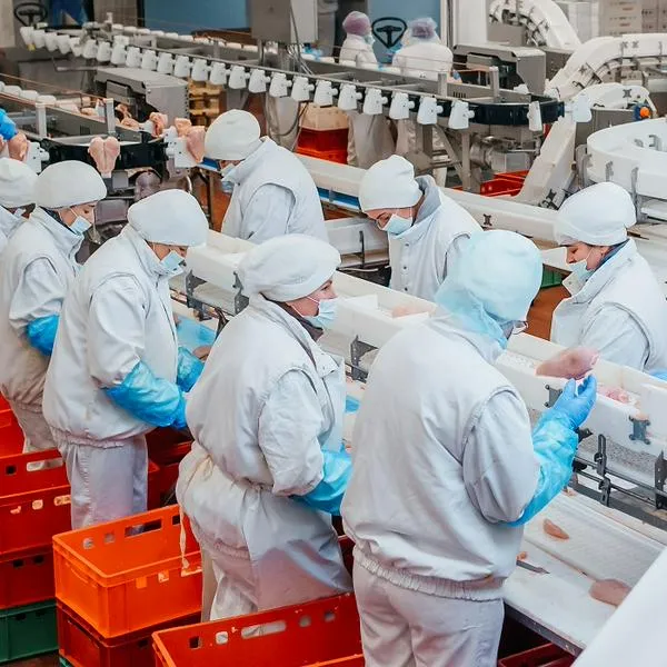 Planta de pollos, en nota sobe que empresa de Estados Unidos quebró