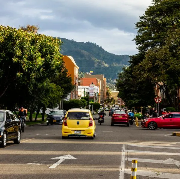Renovar licencia de conducción en Bogotá: cómo saber cuándo vence y hay multas