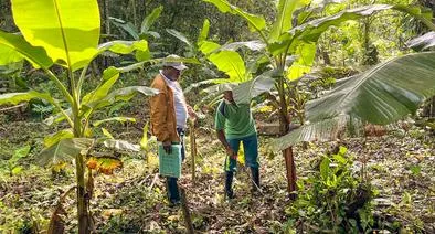 Con Usaid, Estados Unidos apoyará a ANT en formalización de tierras a campesinos