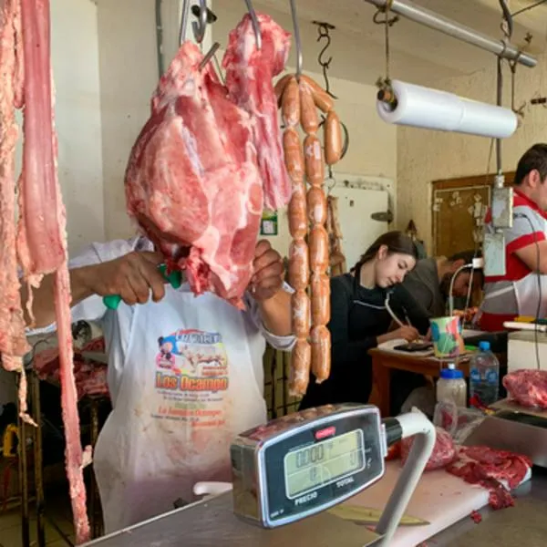 Incautan carne de armadillo en Terminal de Medellín: ¿qué enfermedad contagia?