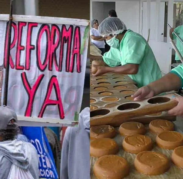 Reforma laboral: trabajo familiar de más de 15 horas a la semana tendría que pagarse