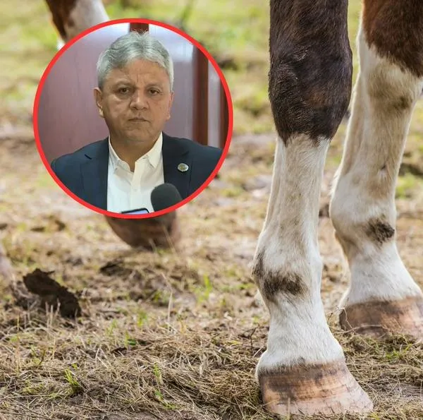 Disparan a concejal Guillermo Rodríguez mientras cabalgaba, en Valle del Cauca