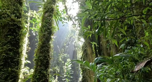 'Avatar colombiano', en nota sobre dónde queda