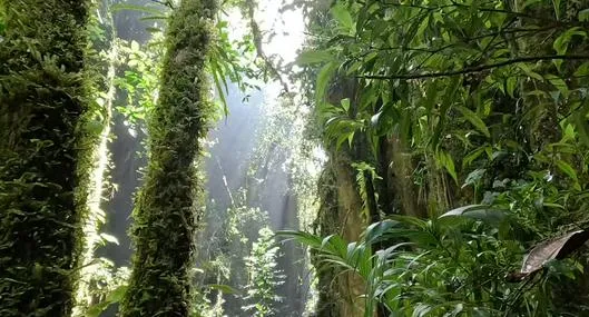 image_desktop