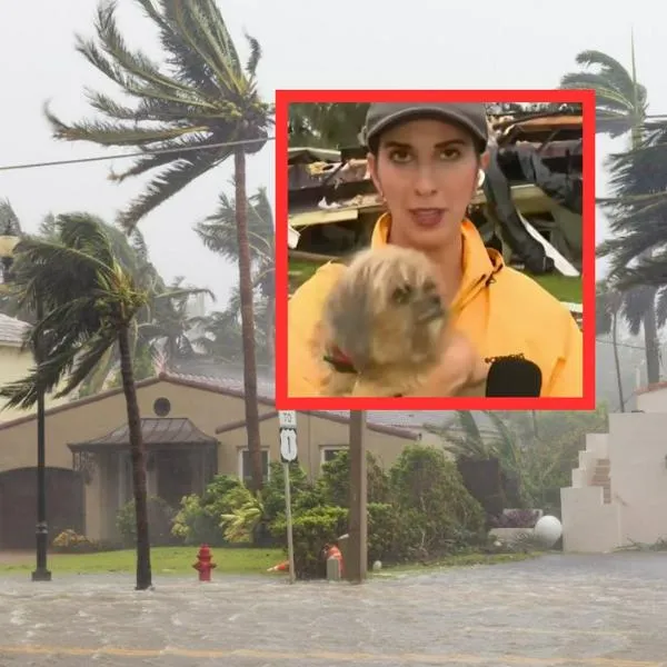 Periodista rescata a perro luego de paso del huracán Milton: así fue el momento